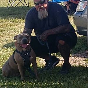 Meet your Posher, Andy